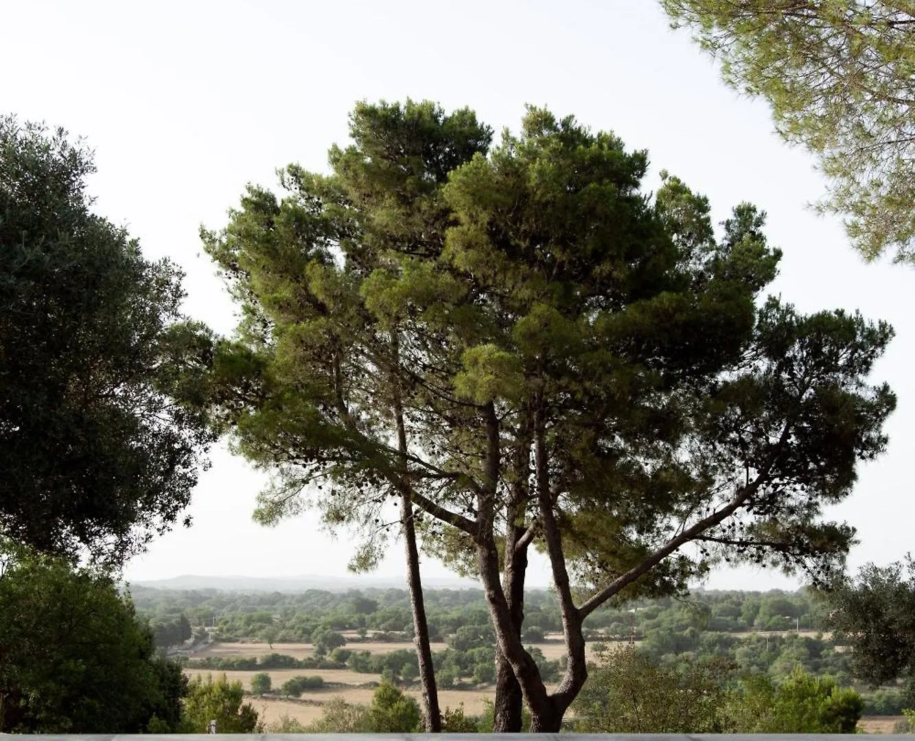 Homestay Nepita Apartment Palazzolo Acreide Italy
